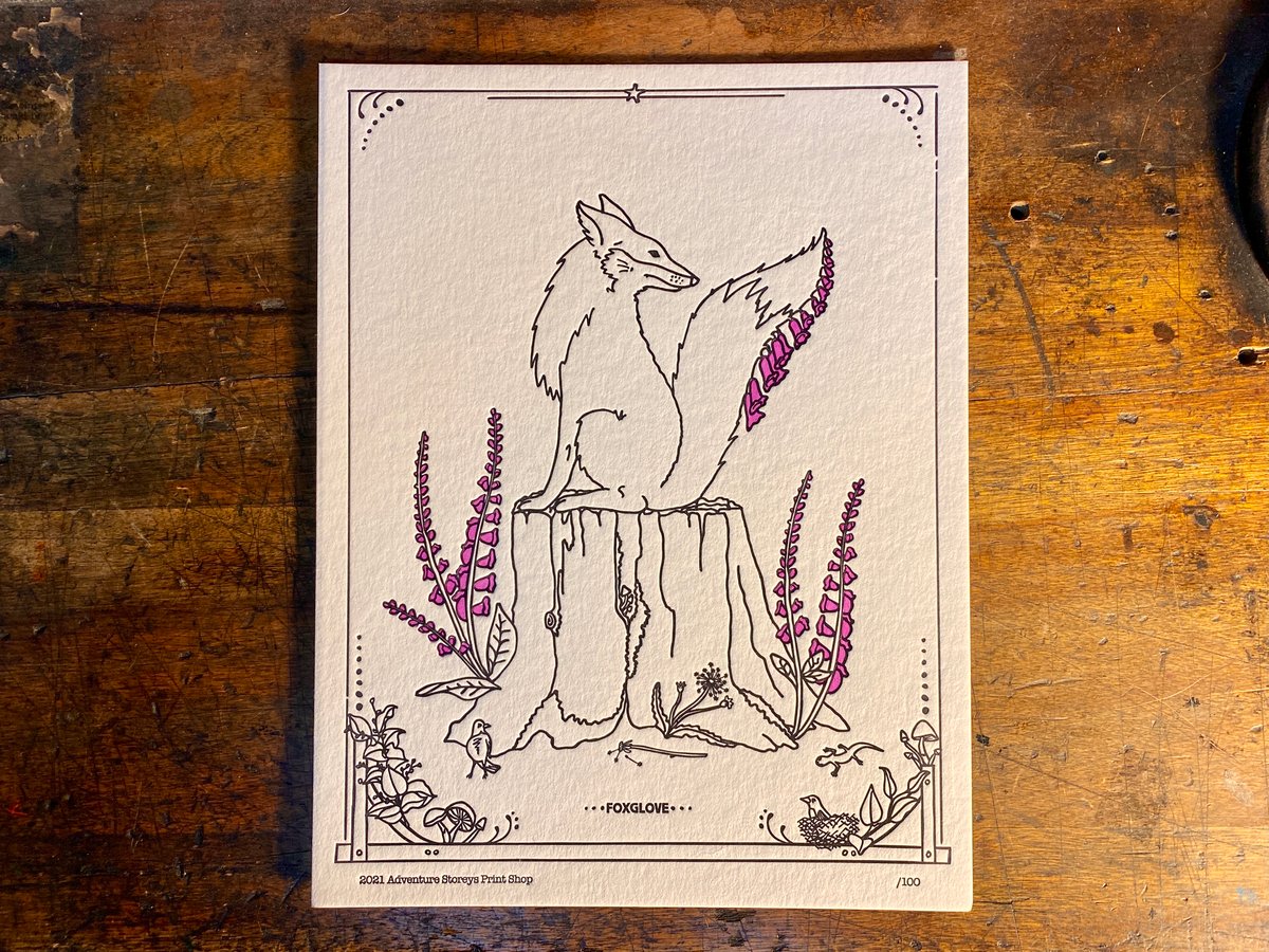 Image of Foxglove - Limited Edition Letterpress Print (8.5 x 11")