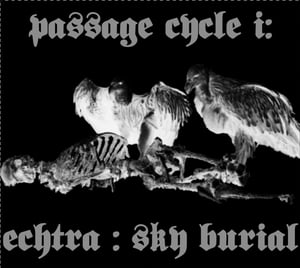 Image of "Sky Burial" DVD/CD