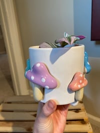Image 2 of Pink Tradescantia in Cute Mushroom Pot