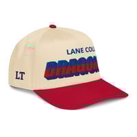 Image 1 of LANE MASCOT HAT