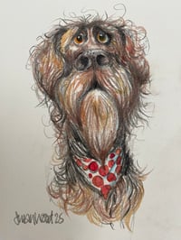 Image 4 of Scribble Dogs