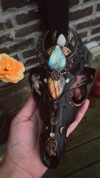 Image 14 of Spellbound adorned coyote skull 