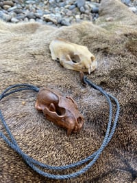 Image 1 of Ferret skull pendant.