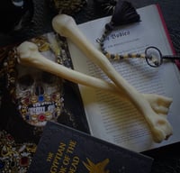 The Relic Bone 