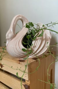 Image 1 of Strand of Dolphins in Swan Planter