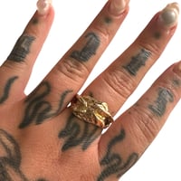 Image 3 of Talons of Brass