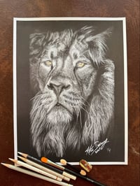 Image 1 of "Arion" Lion Signed and numbered PRINT