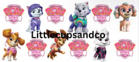 girl paw patrol tumbler