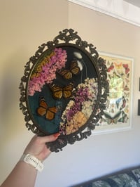 Image 4 of Monarch Butterflies Antique Frame