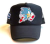 Sonic the Hedgehog/ Navy Blue Art of Fame Trucker Hat