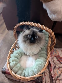 Gale Package + Dnd Mugs