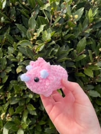 Image 4 of mini triceratops plushie