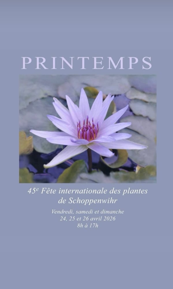 Image of FDP International de Schoppenwihr