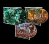 Divisived/Delirium Tremens/Decayed Flesh - CD