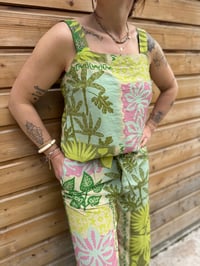Image 2 of Top Stef 