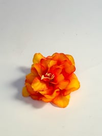 Image 1 of marigold clip ( sample )