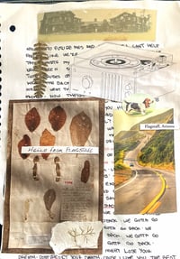 “Hello from Flagstaff” by Fern Garn