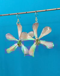 Image 1 of Aretes | Orquídea Vanda (v)