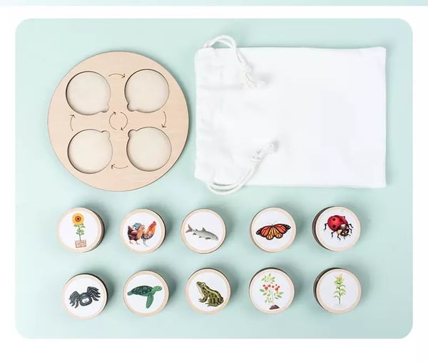 Image of Life Cycle Kit 