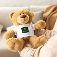 Teddy bear with a t-shirt