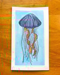 “Jellyfish” 