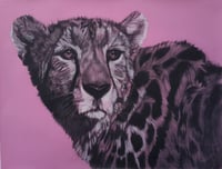Pink Cheetah