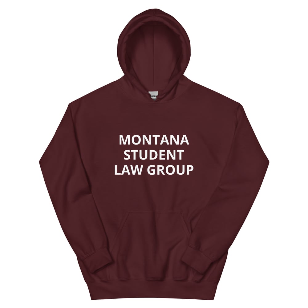 Image of MSLG Hoodie