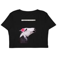 Image 2 of I Knew they where (Crop Top)