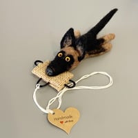 Image 3 of German Shepherd