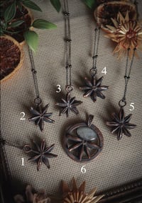 Real star anise necklaces