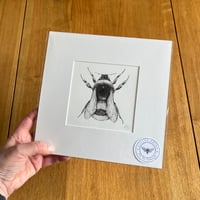 B/W Bumblebee - Giclee Print #2
