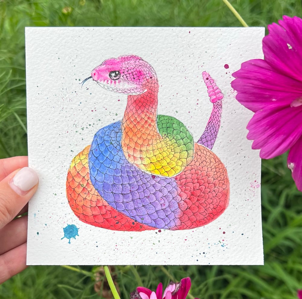 Image of Rainbow Rattlesnake