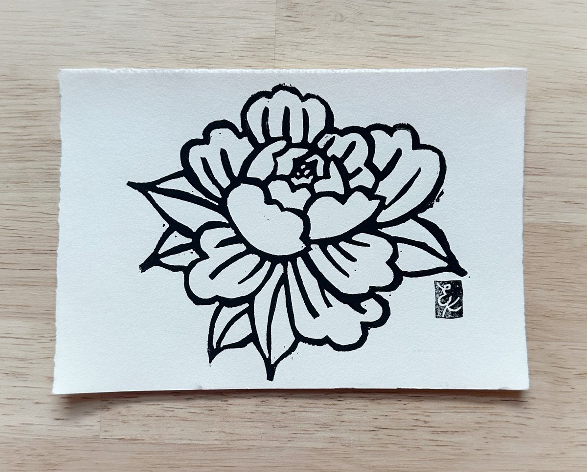 Image of Peony