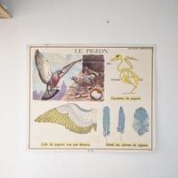 Image 19 of Grandes affiches scolaires anciennes