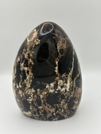 Image 2 of Black Opal Freeform