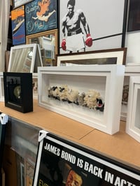 Image 2 of Sheep & Dog