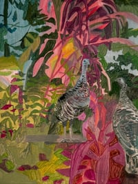 Image 1 of Turkeys and Amaranthus