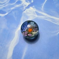Image 3 of "Under the Sea" Coral Reef Marble 2