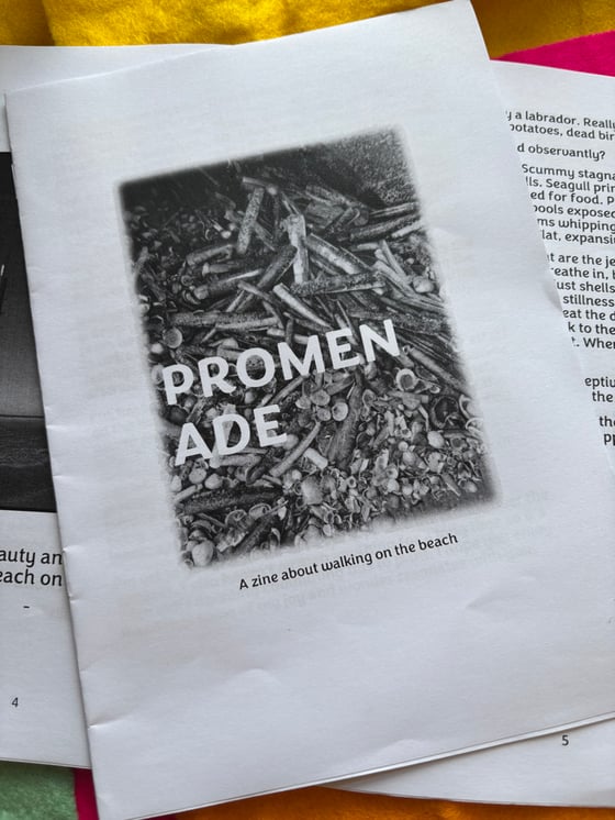 Image of Promenade zine