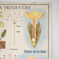 Image 18 of Grandes affiches scolaires anciennes