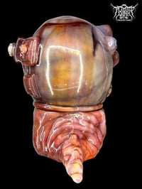 Image 5 of MOONDON 保护者 : VECTOR 20