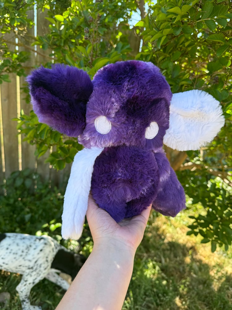 Image of nursery void purple