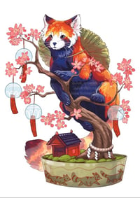 Print - Sakura red panda