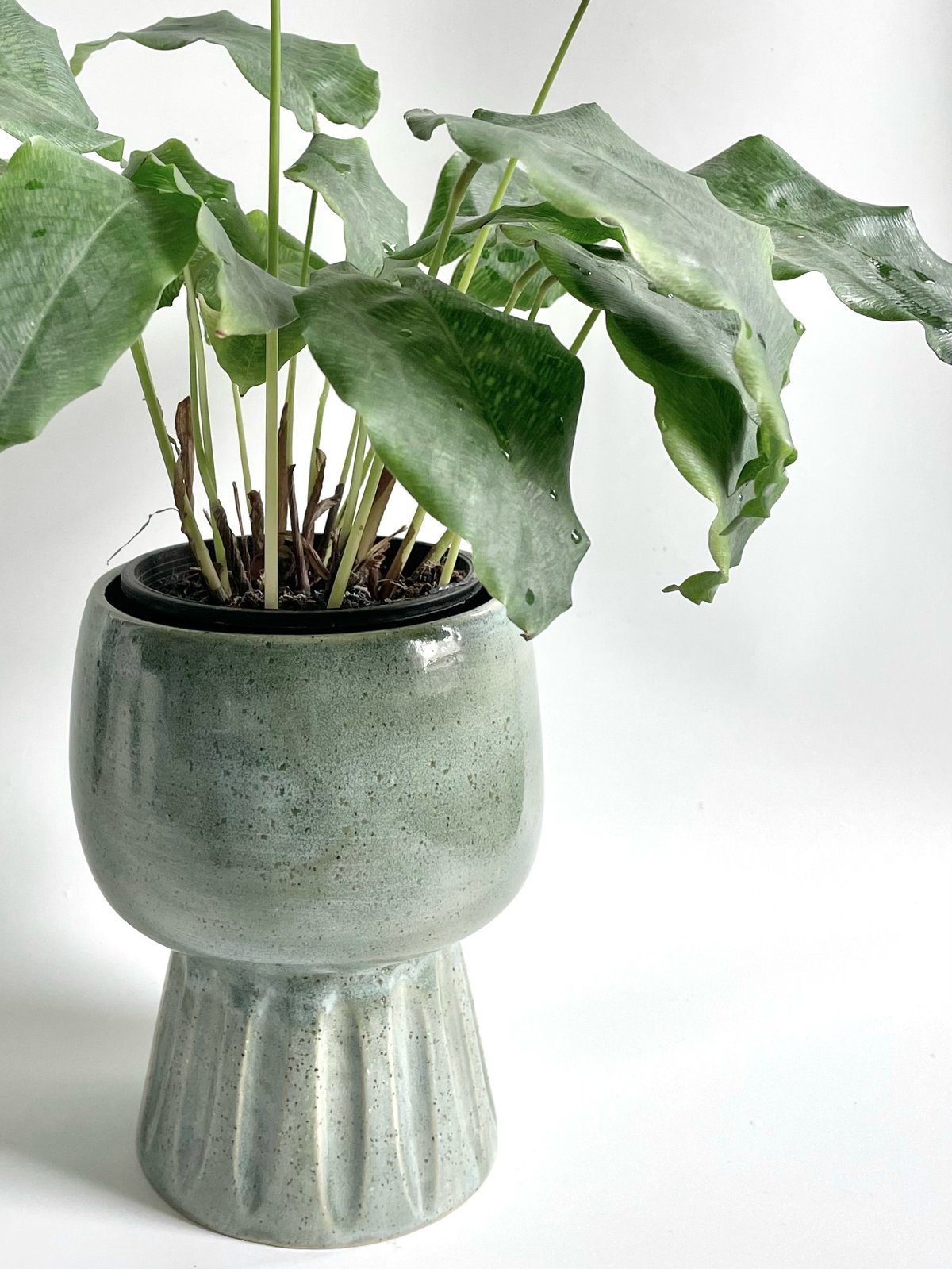 Image of Pedestal planter 3 