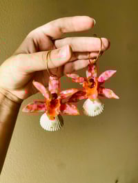 Image 2 of 🌺Tropical Spotted Cymbidium Orchids with Shells🌺