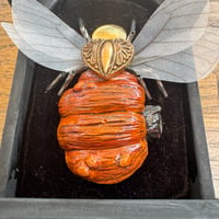 Image 2 of Pumpkin bee (a, 3 x 4 inches) 