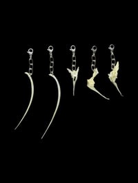 Image 1 of tilapia vertebrae & rib charm set 