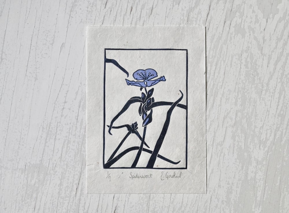 Spiderwort - Limited Edition