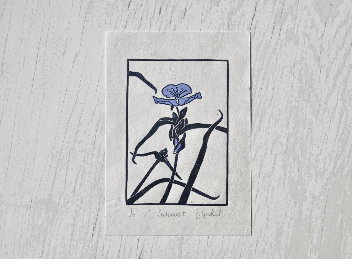 Image of Spiderwort - Limited Edition