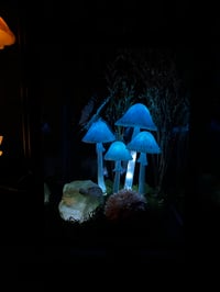 Image 2 of Mushroom lantern led